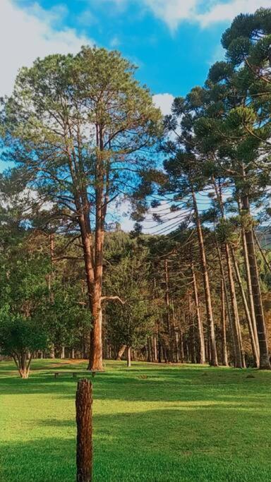 Refúgio Araucárias Chalet