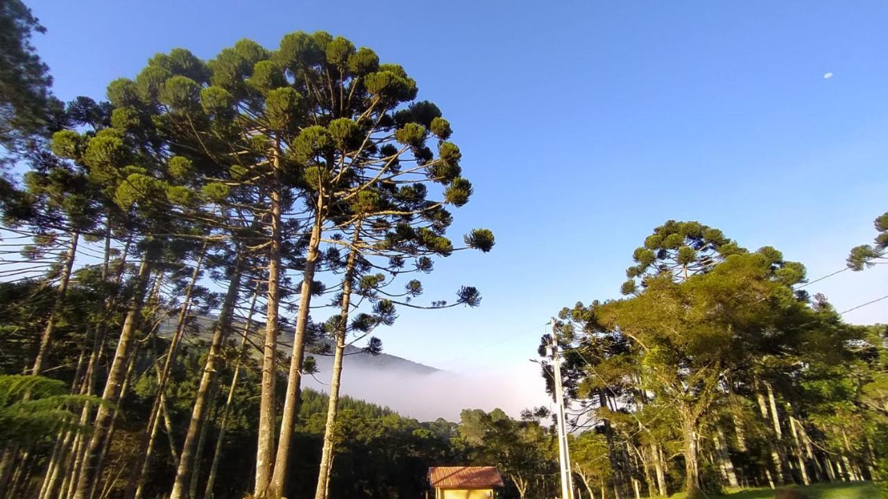 Chalet Refúgio Araucárias Gonçalves