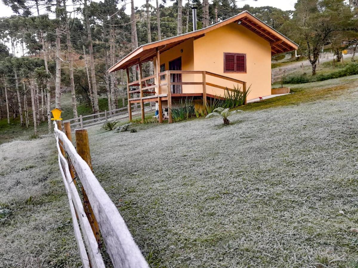 Refúgio Araucárias Chalet *
