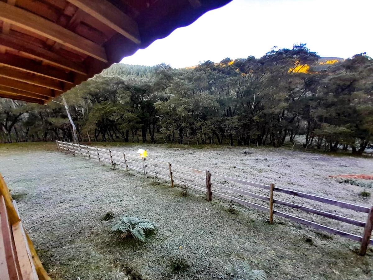 Refúgio Araucárias Chalet