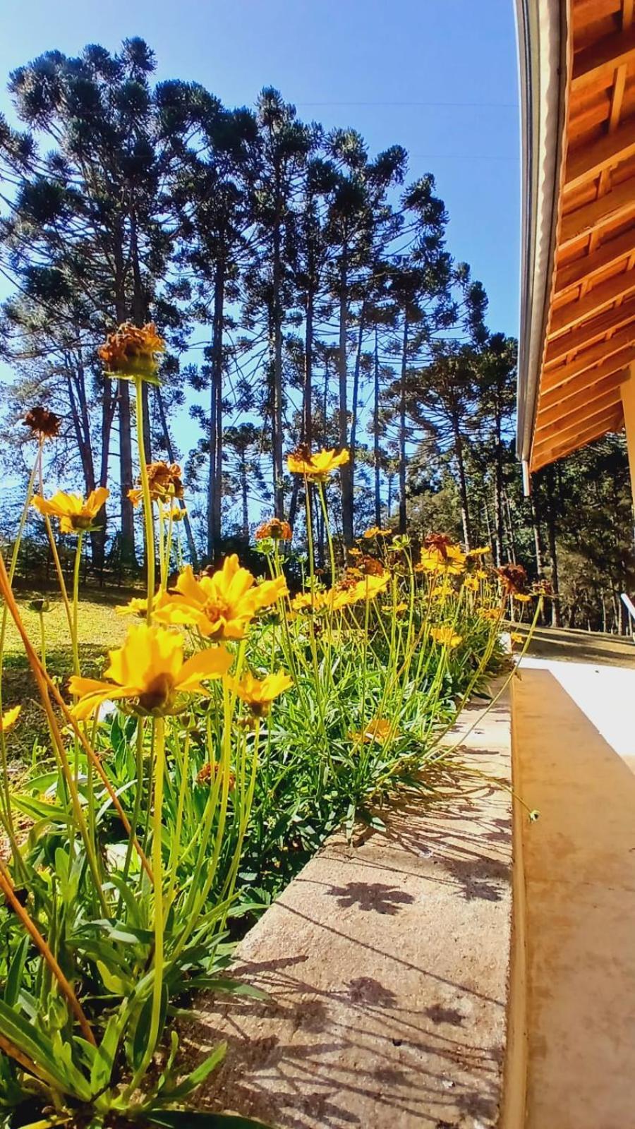 Refúgio Araucárias Chalet Gonçalves