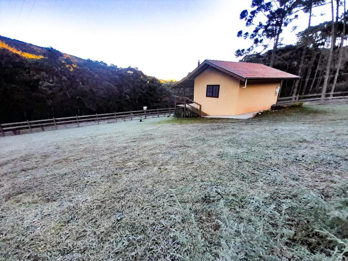 Chale Refugio Araucarias Chalet *